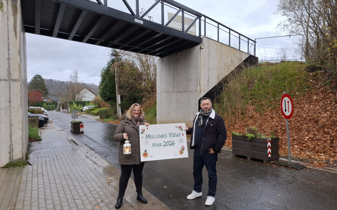 La passerelle du RAvel